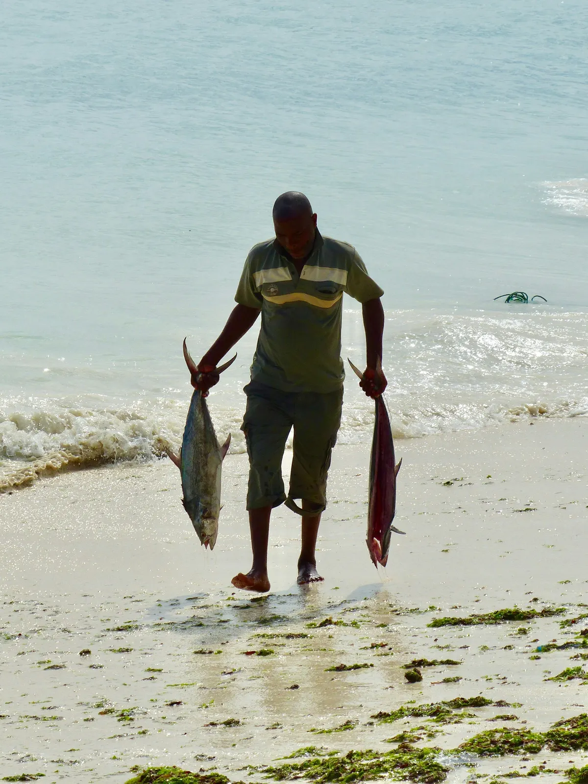Fisher carrying two fish up the beach